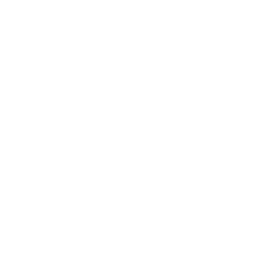 tik tok